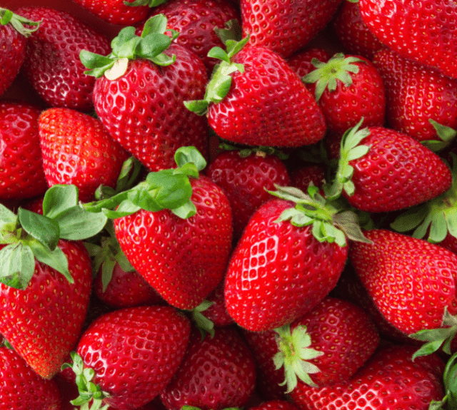 Strawberry fertilizer Haifa Group